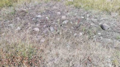 CEVİZDERE ŞEHİTLERİ GAZİLERİ DERNEĞİ KAPATILMA TEHLİKESİYLE KARŞI KARŞIYA