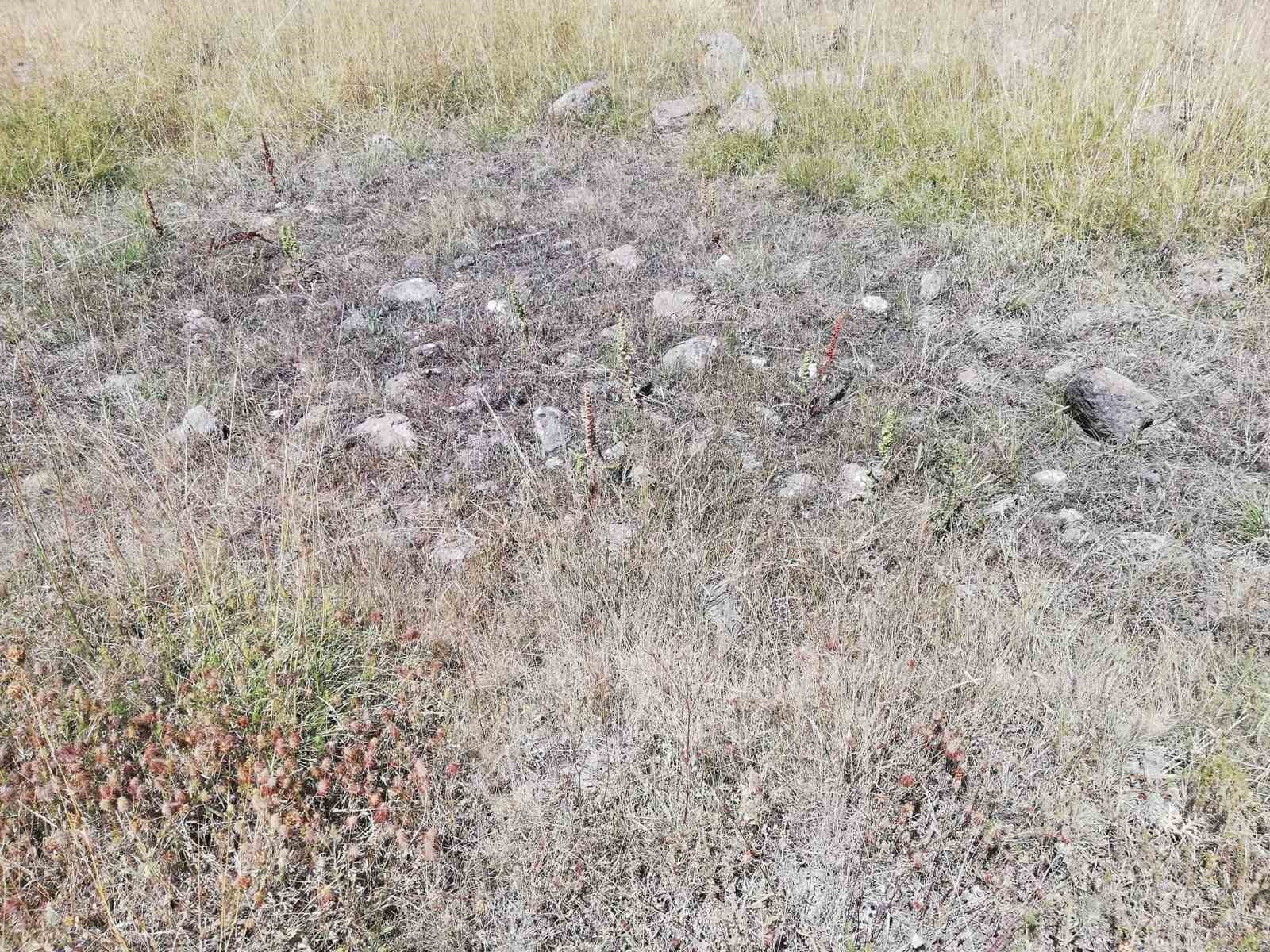 CEVİZDERE ŞEHİTLERİ GAZİLERİ DERNEĞİ KAPATILMA TEHLİKESİYLE KARŞI KARŞIYA