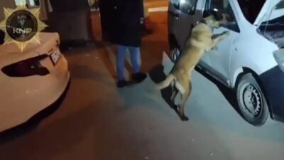 KÜTAHYA İL EMNİYET MÜDÜRLÜĞÜ NARKOTİK SUÇLARLA MÜCADELE ŞUBE MÜDÜRLÜĞÜ EKİPLERİ,