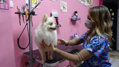 TAVŞANLI'YA İLK PET KUAFÖRÜ AÇILDI