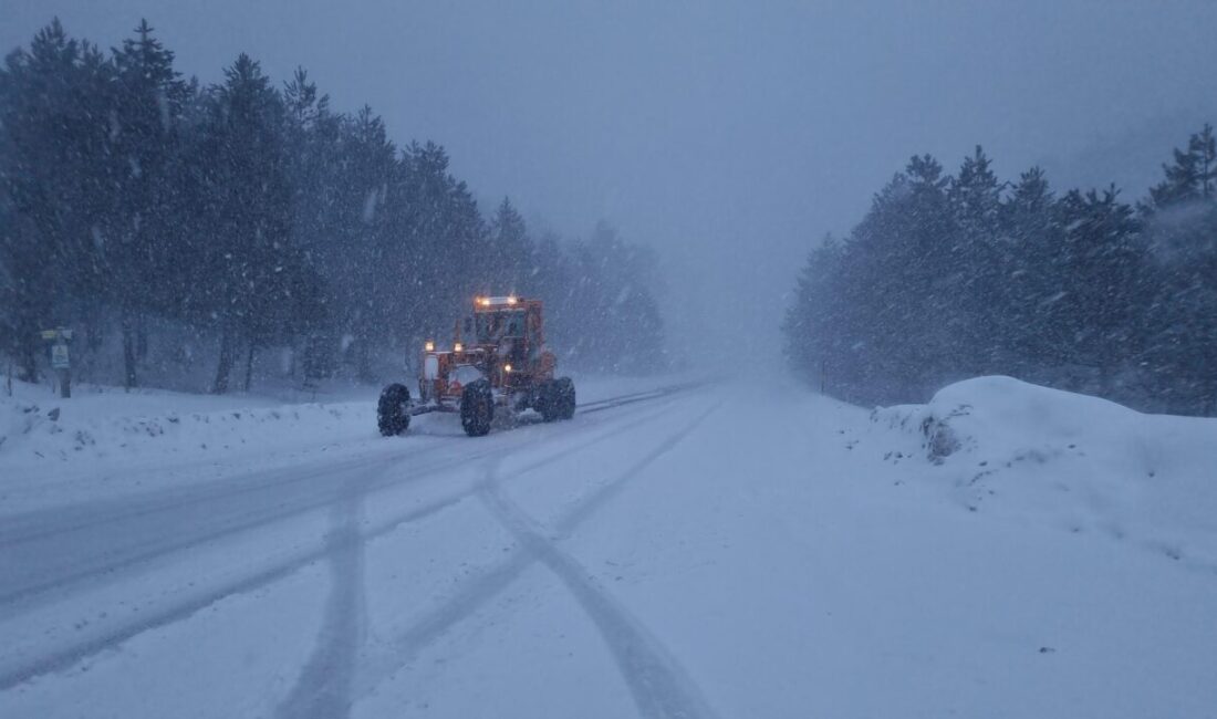 Mustafa YİĞİT/ DOMANİÇ (Kütahya), – KÜTAHYA’nın Domaniç ilçesindeki 1500 rakımlı