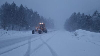 Mustafa YİĞİT/ DOMANİÇ (Kütahya), – KÜTAHYA’nın Domaniç ilçesindeki 1500 rakımlı