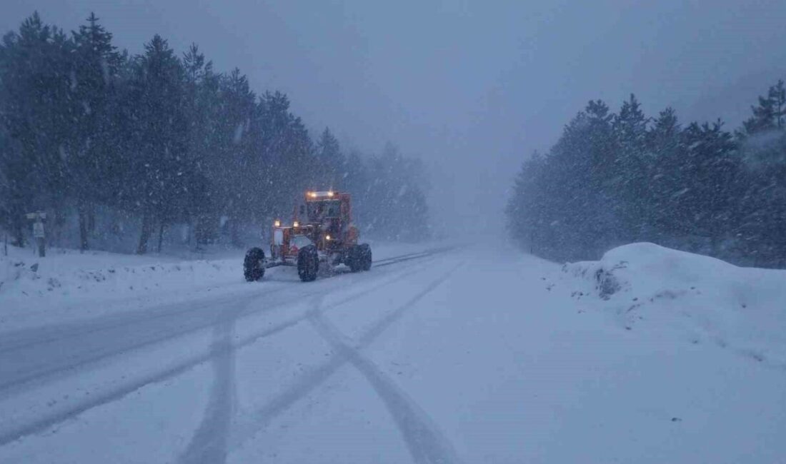 Kütahya’nın Domaniç ilçesinde, Domaniç-İnegöl Karayolu’nun bin 500 rakımlı Kocayayla mevkisinde
