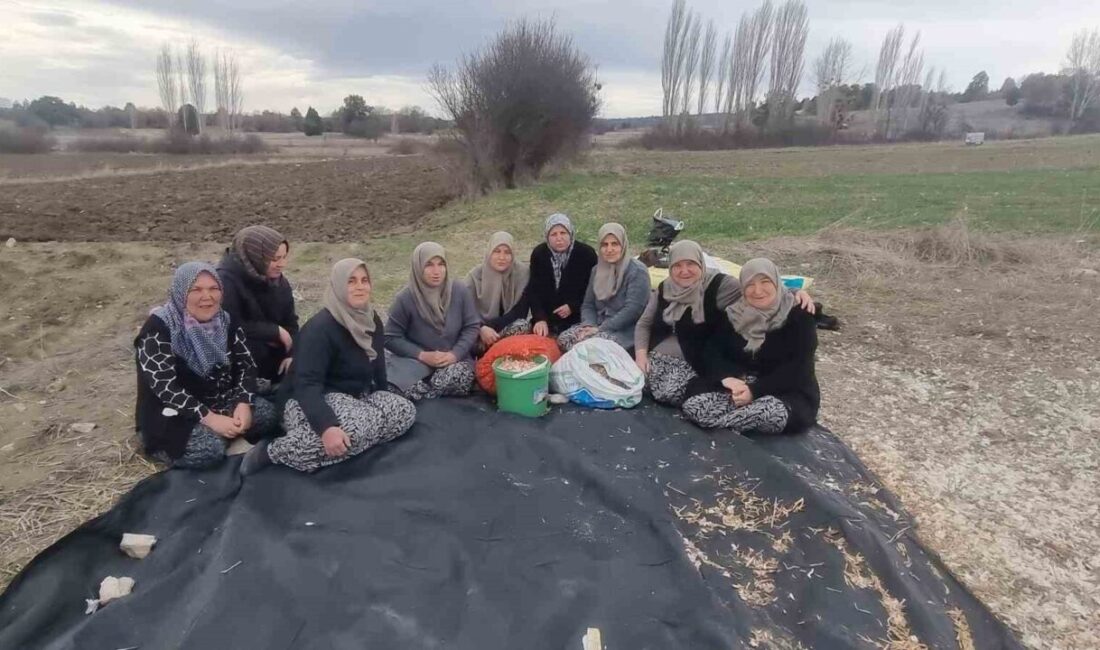 Kütahya’nın Domaniç ilçesine bağlı Çamlıca köyünde faaliyet gösteren Domaniç Üretim