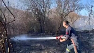 Kütahya’nın Emet ilçesinde çıkan ot yangını itfaiye ekiplerinin müdahalesiyle söndürüldü.