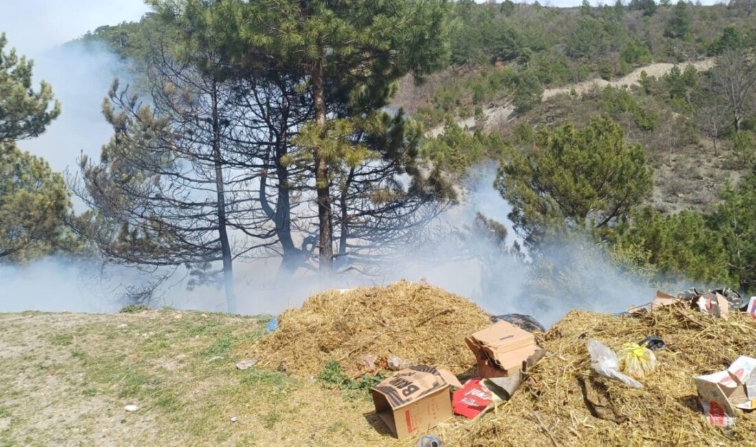 Kütahya’nın Gediz ilçesinde, Murat Dağı eteklerindeki Çukurören köyündeki orman yangını,