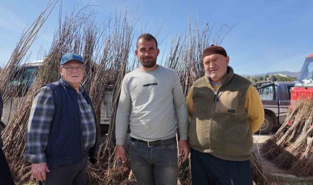 Kütahya’nın Gediz ilçesinde, baharın müjdecisi olan fidan dikim sezonuyla birlikte
