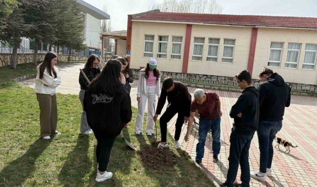 Kütahya Dumlupınar Üniversitesine bağlı Hisarcık Meslek Yüksekokulunda ağaçlandırma etkinliği gerçekleştirildi.