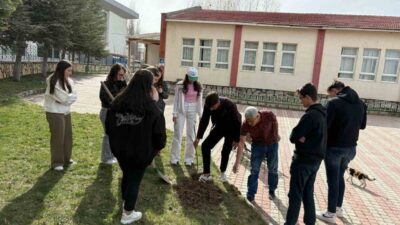 Kütahya Dumlupınar Üniversitesine bağlı Hisarcık Meslek Yüksekokulunda ağaçlandırma etkinliği gerçekleştirildi.