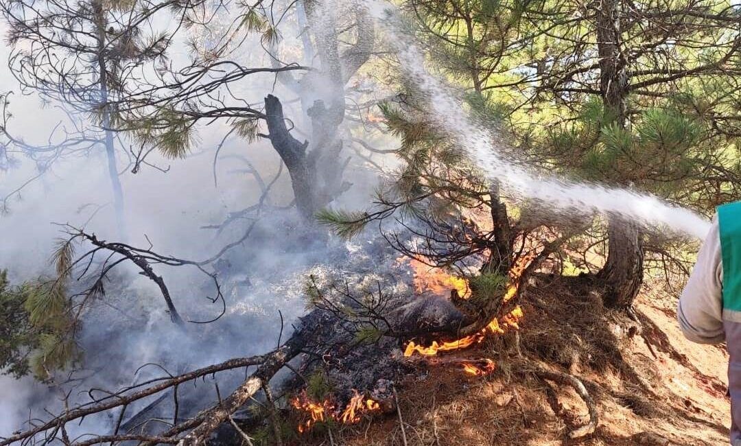 Kütahya’nın Hisarcık ilçesinde çıkan orman yangınında yaklaşık 1,5 dekar alan