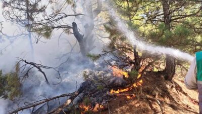 Kütahya’nın Hisarcık ilçesinde çıkan orman yangınında yaklaşık 1,5 dekar alan