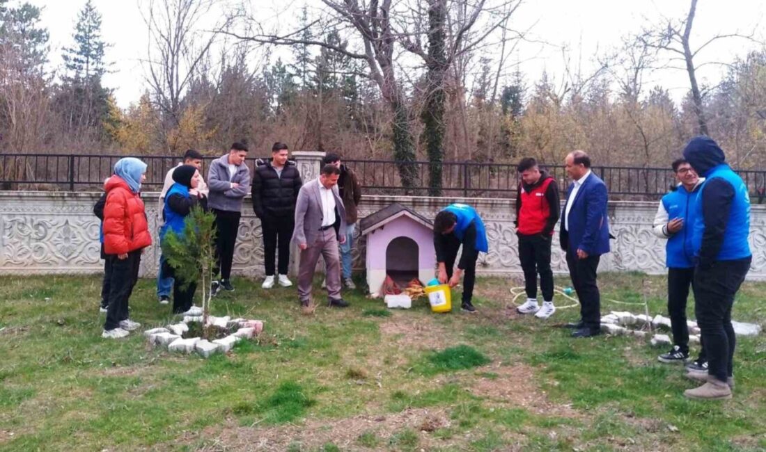 Kütahya’nın Hisarcık ilçesinde gençler sokak hayvanları için mama bıraktı. Hisarcık