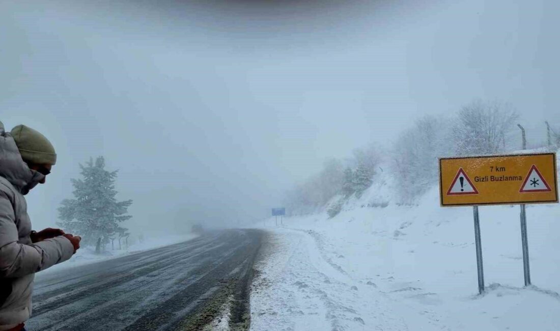 Kütahya’nın Domaniç ilçesinde, Domaniç-İnegöl karayolunun bin 500 rakımlı Koca Yayla