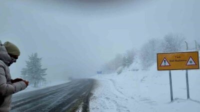Kütahya’nın Domaniç ilçesinde, Domaniç-İnegöl karayolunun bin 500 rakımlı Koca Yayla