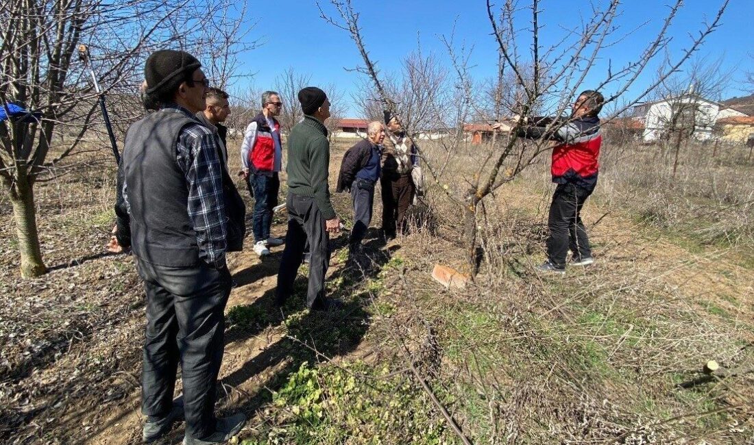 Kütahya ili Tavşanlı İlçe Tarım Müdürlüğü teknik personeli, Şenlik köyündeki