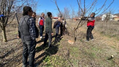 Kütahya ili Tavşanlı İlçe Tarım Müdürlüğü teknik personeli, Şenlik köyündeki