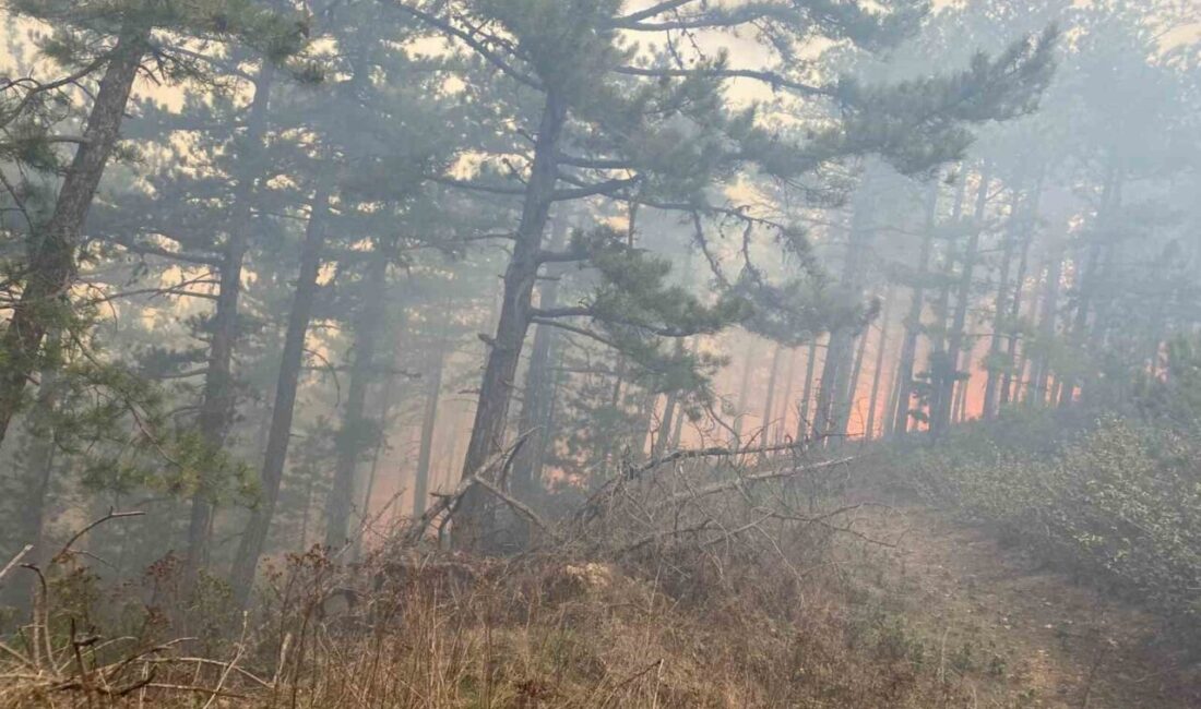 Kütahya’nın Gediz ilçesine bağlı Çukurören köyünde ormanlık alanda çıkan yangın