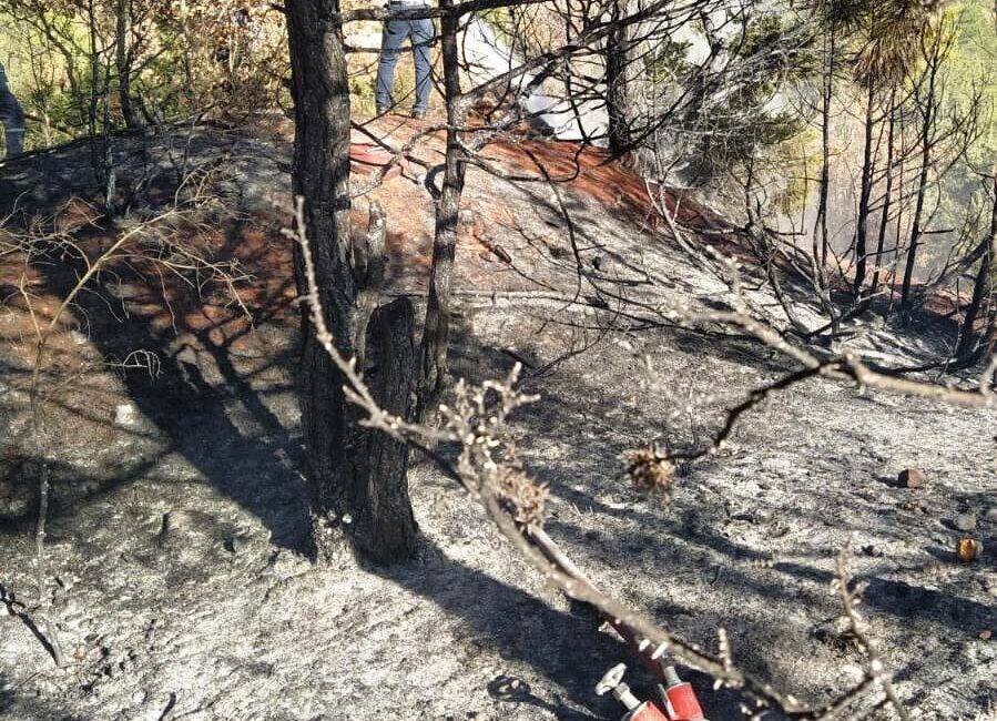 Mustafa AKÇAY/HİSARCIK (Kütahya), – KÜTAHYA’nın Hisarcık ilçesinde çıkan orman yangınında