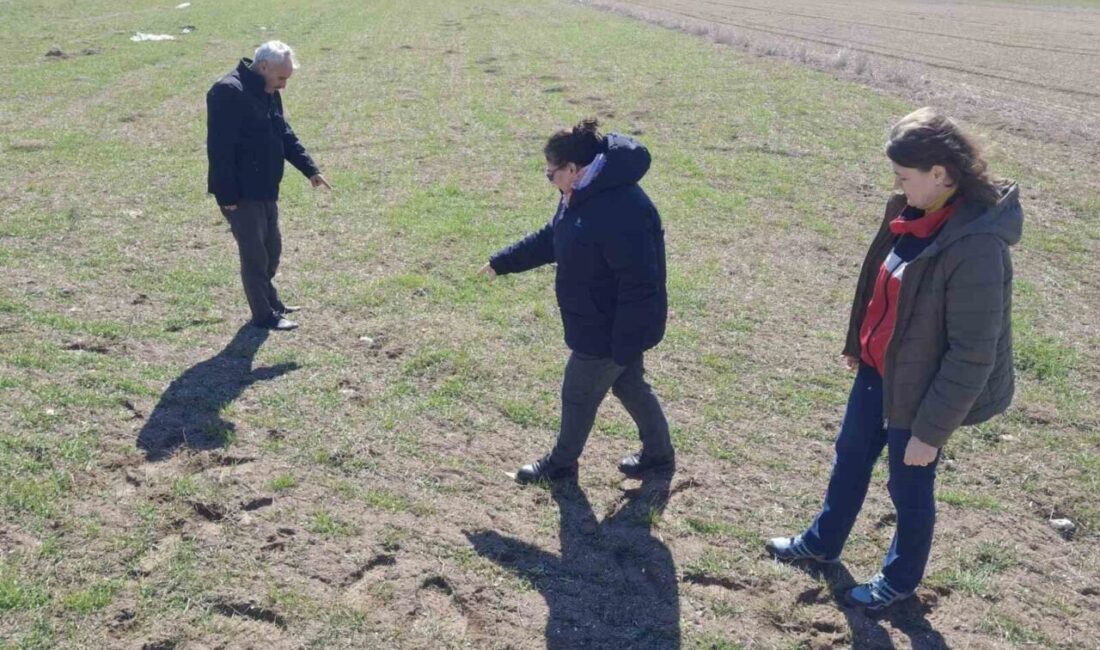 Kütahya İl Tarım ve Orman Müdürlüğünce merkez mahalle ve köylerinde