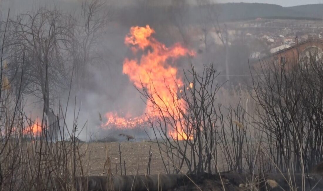 Kütahya’nın Tavşanlı ilçesi Tepecik beldesinde çıkan ot yangını, itfaiye ekiplerinin