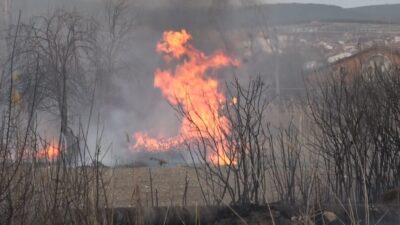 Kütahya’nın Tavşanlı ilçesi Tepecik beldesinde çıkan ot yangını, itfaiye ekiplerinin