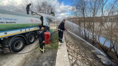 Kütahya’nın Tavşanlı ilçesinde dere kenarında çıkan ot yangını, itfaiye ekiplerinin
