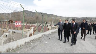 Kütahya Valisi Musa Işın, Belediye Başkanı Eyüp Kahveci ile birlikte