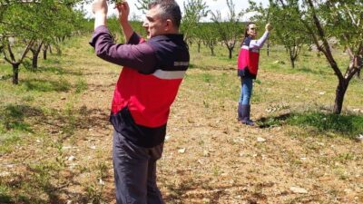 Kütahya’nın Altıntaş ilçesinde meydana gelen zirai don sonrası İlçe Tarım