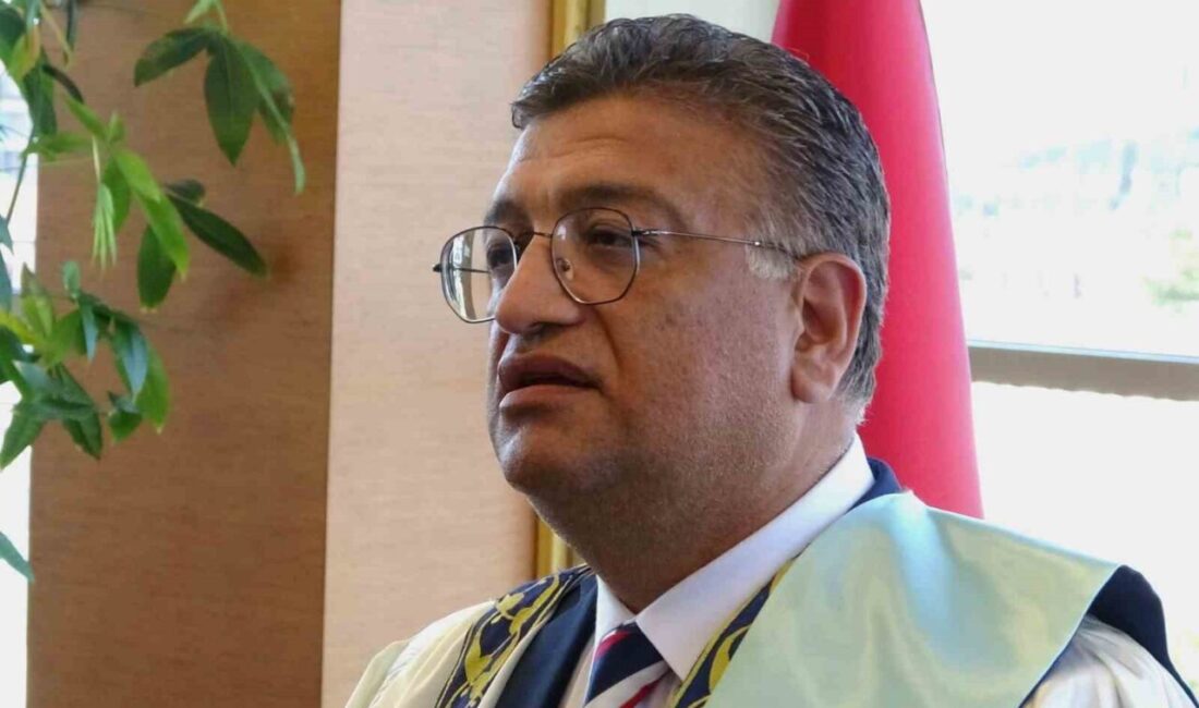 Kütahya Dumlupınar Üniversitesi (DPÜ) Güzel Sanatlar Fakültesi, TÜBİTAK 2209-A Üniversite