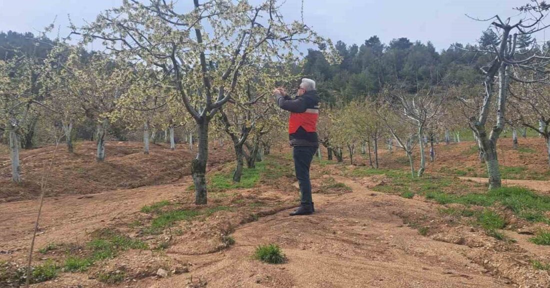 Kütahya’nın Gediz ilçesinde geçtiğimiz günlerde yaşanan yurt genelindeki don olaylarından