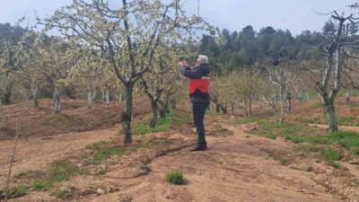 Kütahya’nın Gediz ilçesinde geçtiğimiz günlerde yaşanan yurt genelindeki don olaylarından