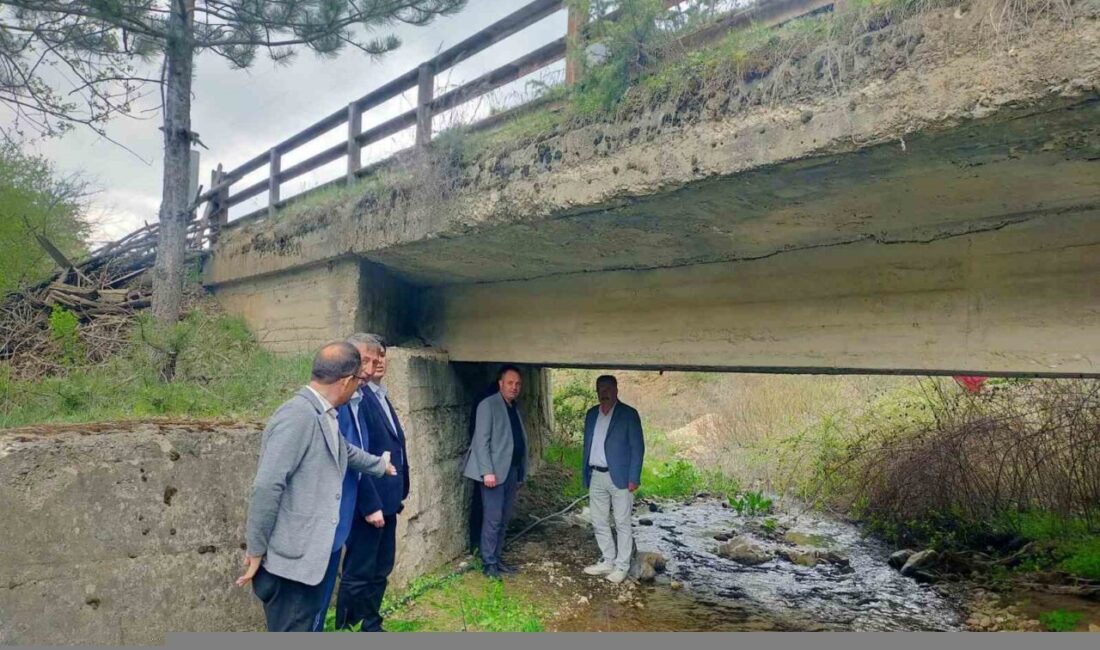 Hisarcık Kaymakamı Muhammet Samet Bahar başkanlığındaki heyet, ilçede 25 ve