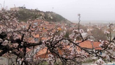 Kütahya’da havanın ısınmasıyla birlikte doğa da uyanmaya başlayarak badem ağaçları