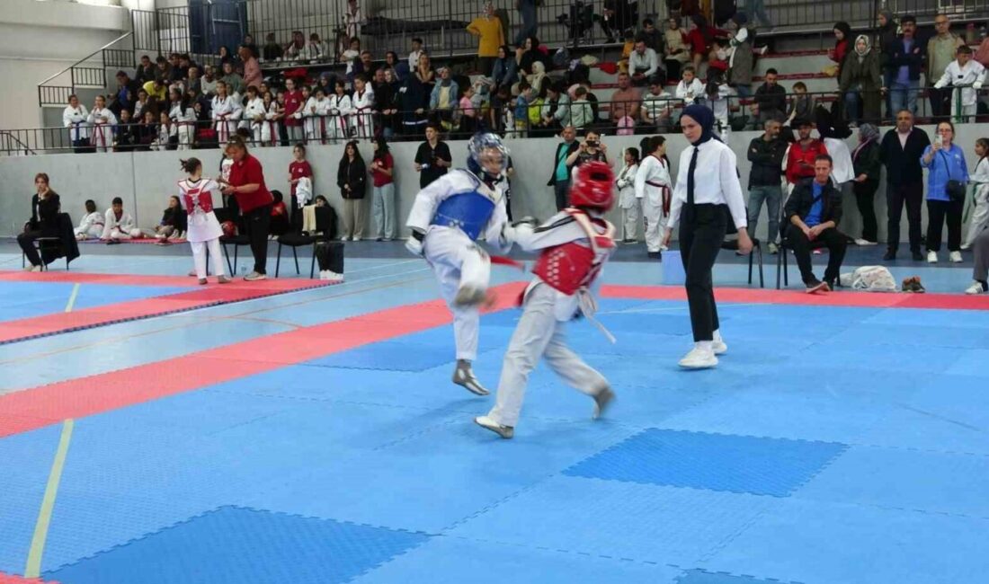 Kütahya Spor Lisesi Spor Salonu’nda, Taekwondo Kütahya İl Temsilciliği tarafından