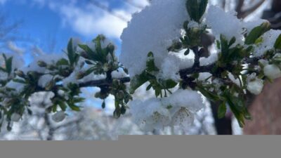 Kütahya’nın Tavşanlı ilçesi, nisan ayının ortasında beklenmedik bir kar yağışıyla
