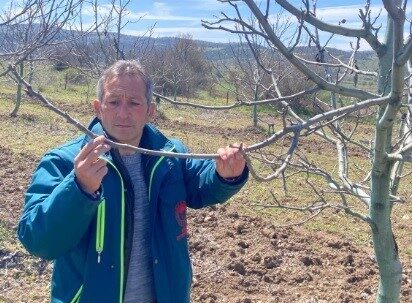 Kütahya’nın Tavşanlı ilçesinde zirai don afeti tespit çalışması başladı. Birçok