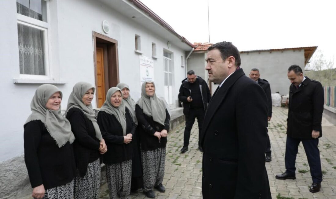 Kütahya Valisi Musa Işın, Domaniç ilçesine bağlı Çamlıca köyünde faaliyet