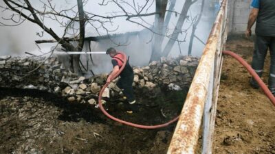 Domaniç ilçesinde bir barakada çıkan yangında yaklaşık 100 tavuk telef