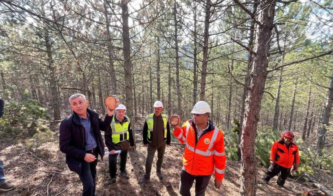 Emet Orman İşletme Müdürlüğü ev sahipliğinde, ormancılık faaliyetlerinin etkinliğini ve