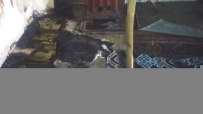 Mustafa AKÇAY/HİSARCIK (Kütahya), – KÜTAHYA’nın Hisarcık ilçesinde Alzheimer hastası Hatice