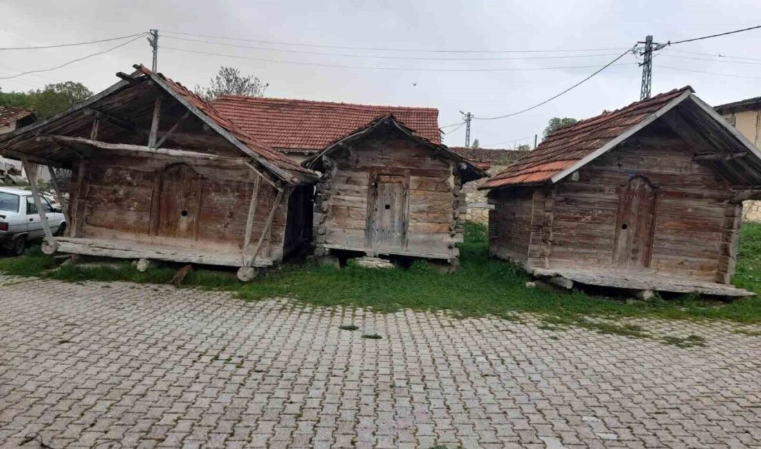 Kütahya’nın Gediz ilçesindeki geleneksel çivisiz ahşap ambarlar yüzlerce yıldır zamana