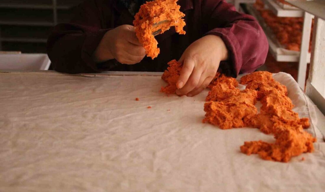 Geleneksel tarhana üretimiyle öne çıkan Gediz, sağlıklı beslenme bilincinin artması