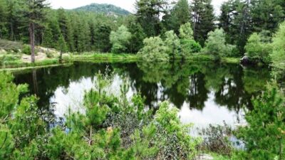 Kütahya’nın Hisarcık ilçesi bulunan doğal gölet baharın gelmesiyle eşsiz bir