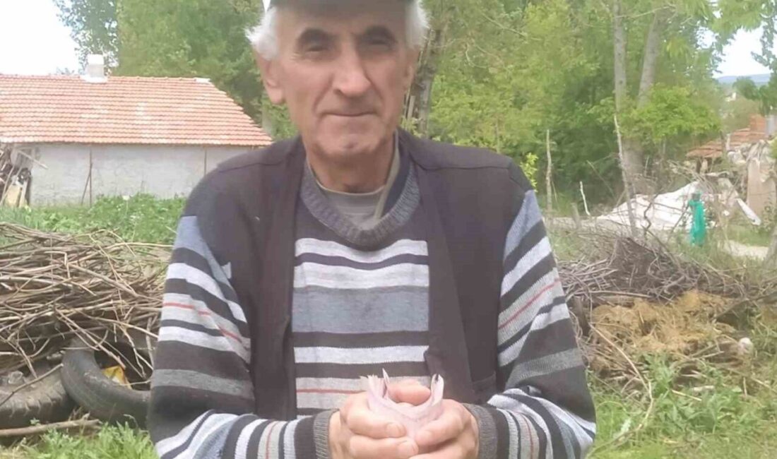 Kütahya’nın Hisarcık ilçesinde emekli işçi Hüsnü Özyurt, Emet’te düzenlenen Hıdrellez