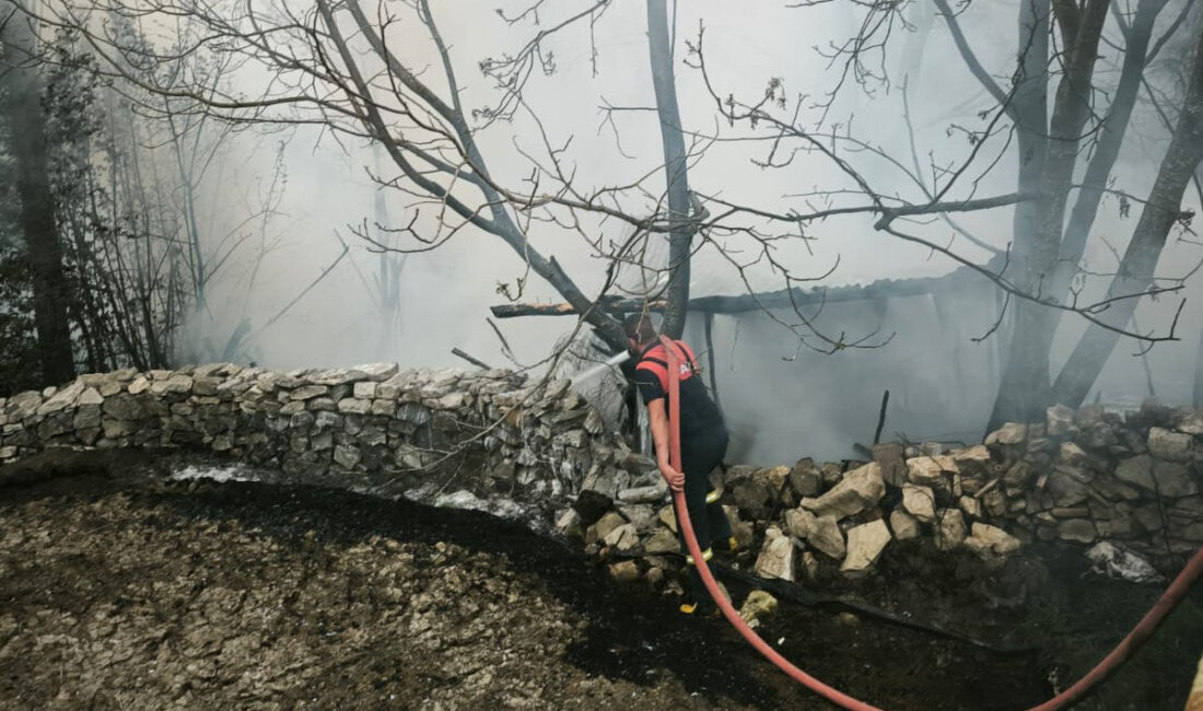 Mustafa YİĞİT/DOMANİÇ, (Kütahya), – KÜTAHYA’nın Domaniç ilçesinde 4 kümeste çıkan