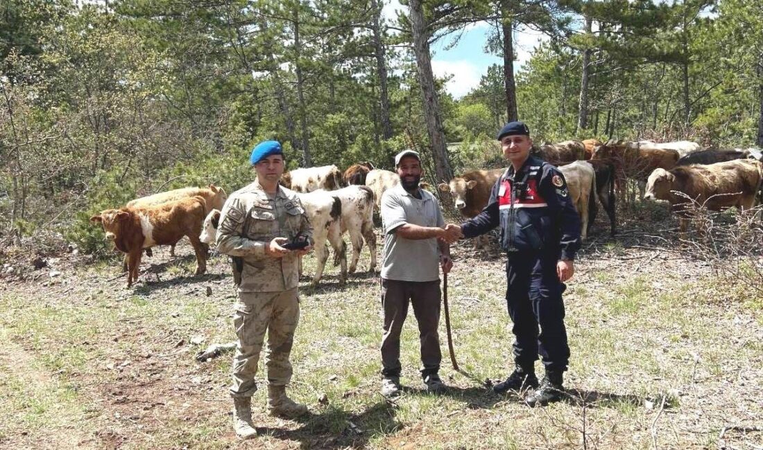 Kütahya’nın Soğukçeşme köyü ormanlık alanında 3 gün önce kaybolan 19
