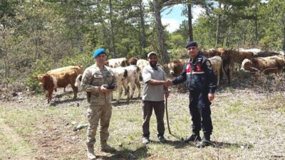 Kütahya’nın Soğukçeşme köyü ormanlık alanında 3 gün önce kaybolan 19