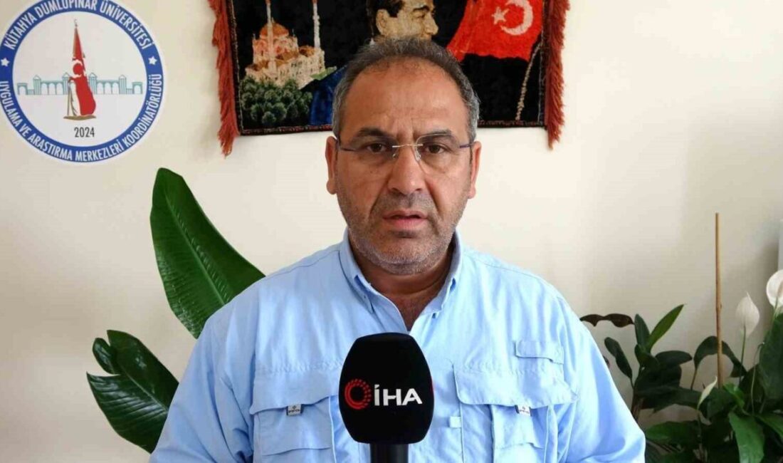 Kütahya Dumlupınar Üniversitesi (DPÜ) Uygulama ve Araştırma Merkezleri Koordinatörü Siyaset