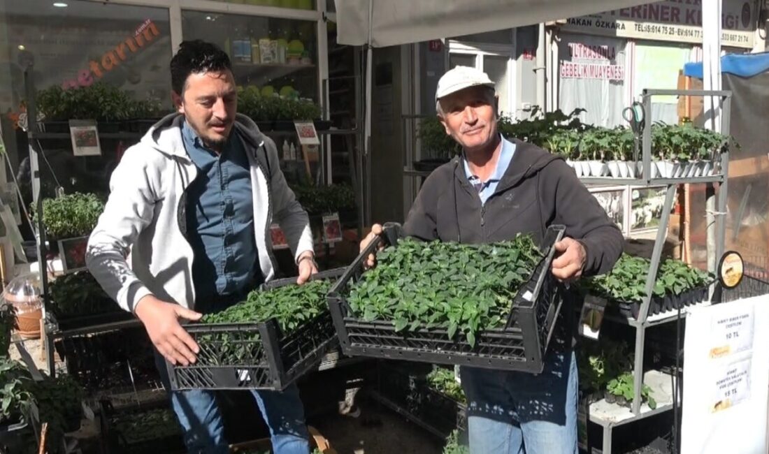 Kütahya’nın Tavşanlı ilçesinde 2025 yılı fide sezonunu açıldı. Santral sokaktaki