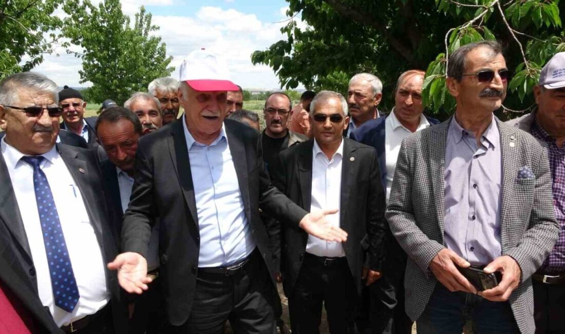 Türkiye Ziraat Odaları Birliği (TZOB) Genel Başkanı Şemsi Bayraktar, tarım